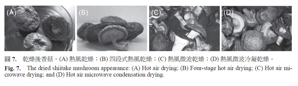 The dried shiitake mushroom appearance: (A) Hot air drying、 (B) Four-stage hot air drying、 (C) Hot air microwave drying、 and (D) Hot air microwave condensation drying.